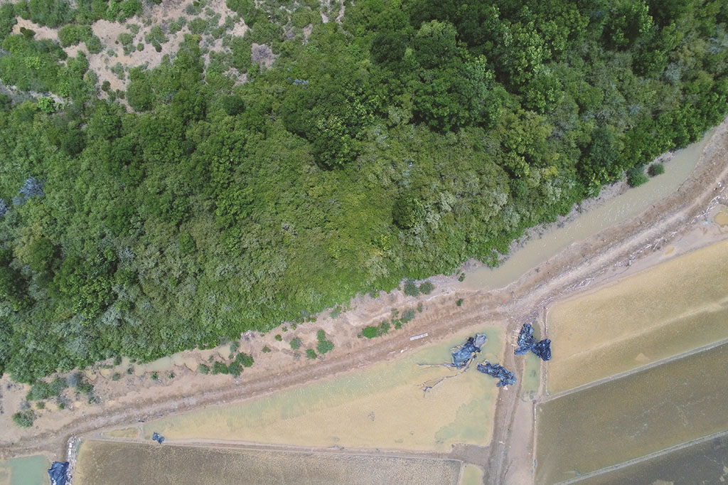 The Income of Traditional Fish Farmers Can Be Higher If There Are Mangroves