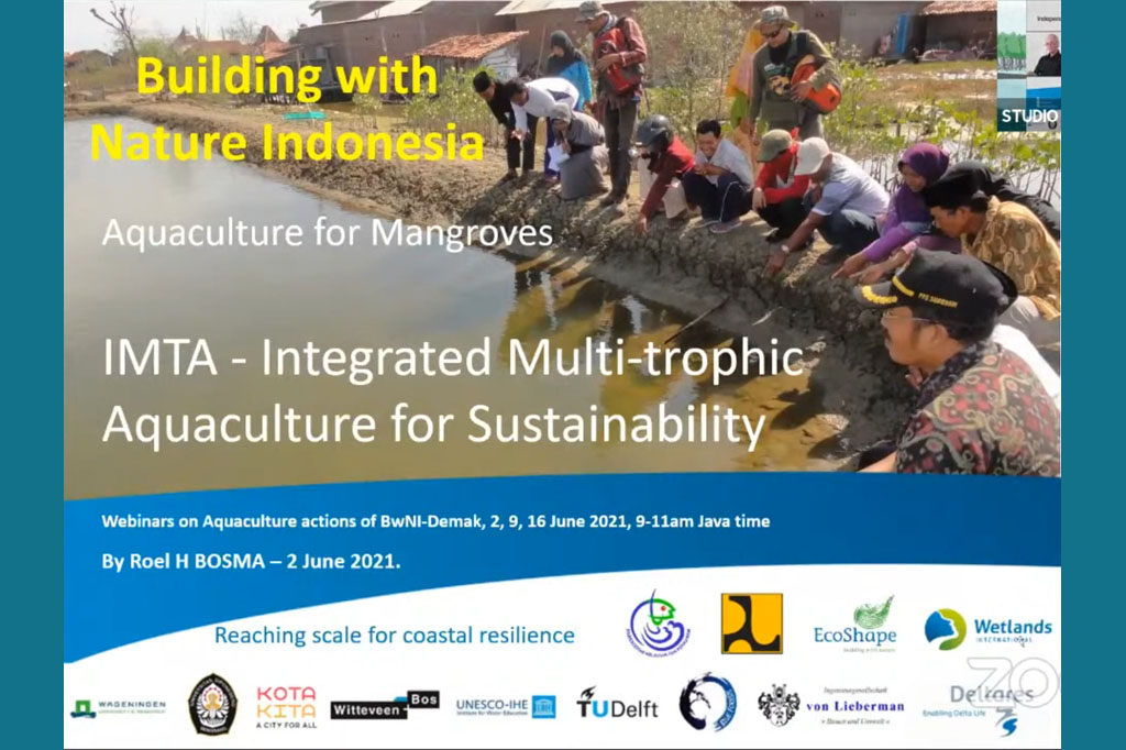 Webinar Series #3 “Aquaculture Supporting Mangrove”, Integrated Multi Trophic Aquaculture