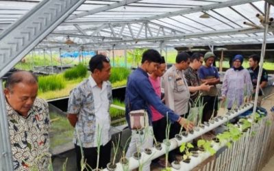 Application Of Biofilter, Hydroponic, And Ultraviolet Integration To Improve Water Quality (SDGS-12) In Catfish Breeding Of Catfish Farmers Group, Banyubiru